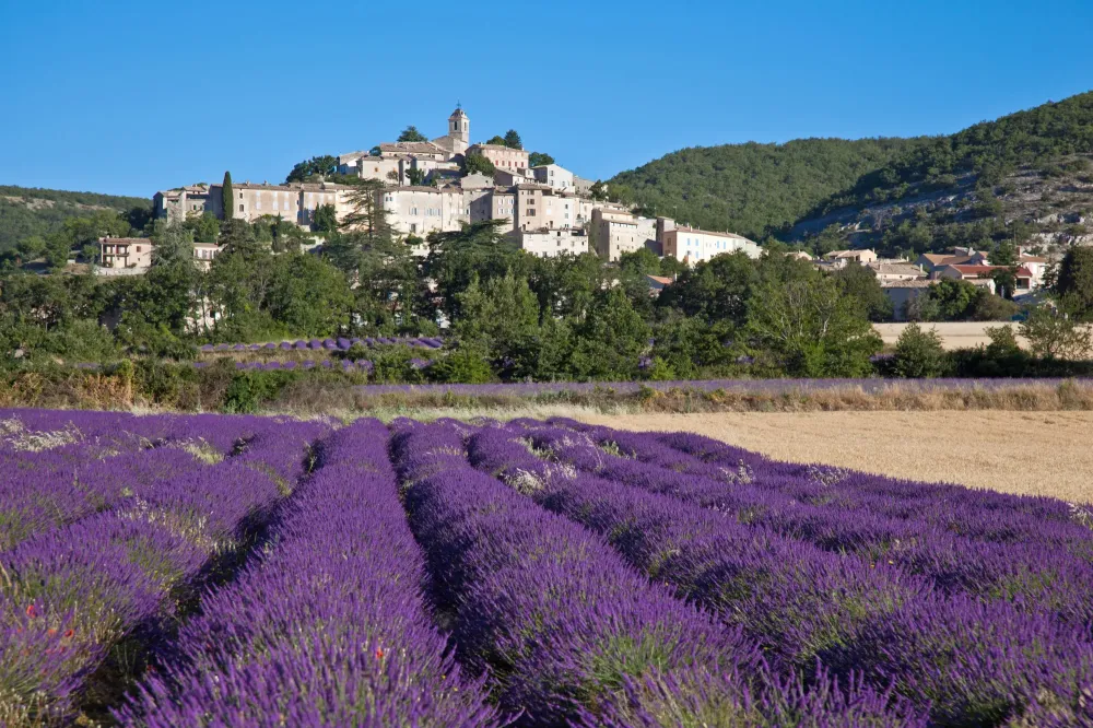 Taxi Agnès Simonwebp
